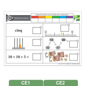 Petites enquêtes mathématiques